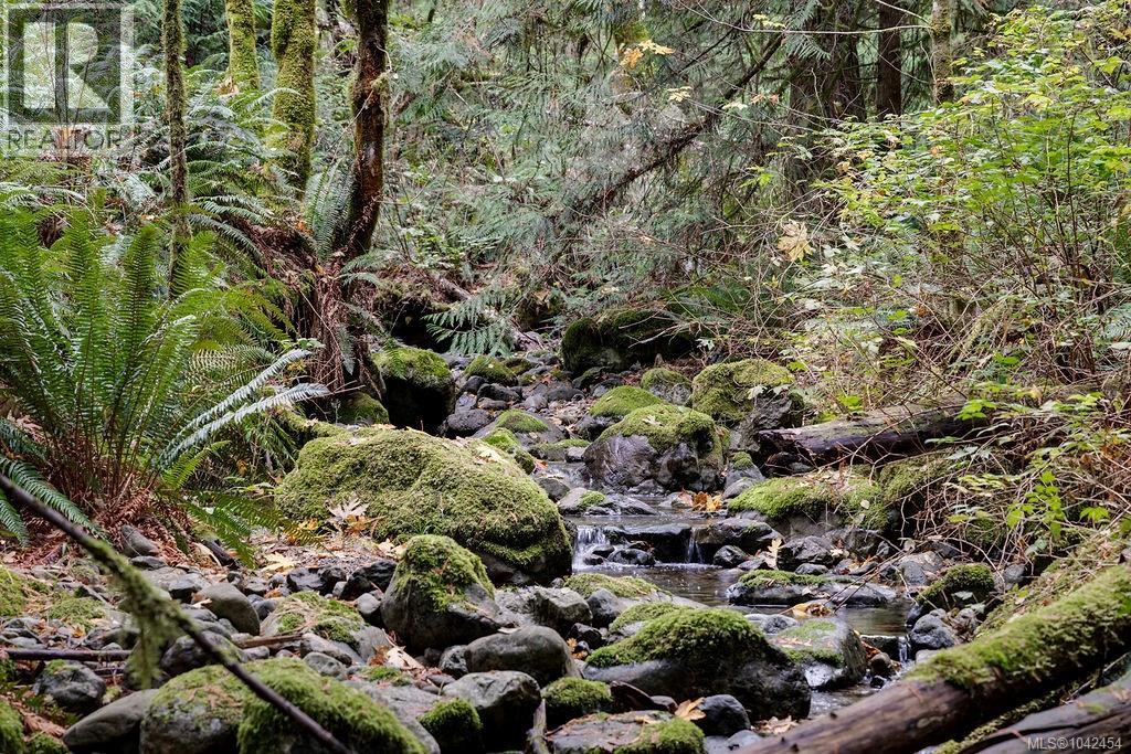 4976 Sooke Rd, Metchosin, British Columbia  V9C 4C1 - Photo 4 - 1042454