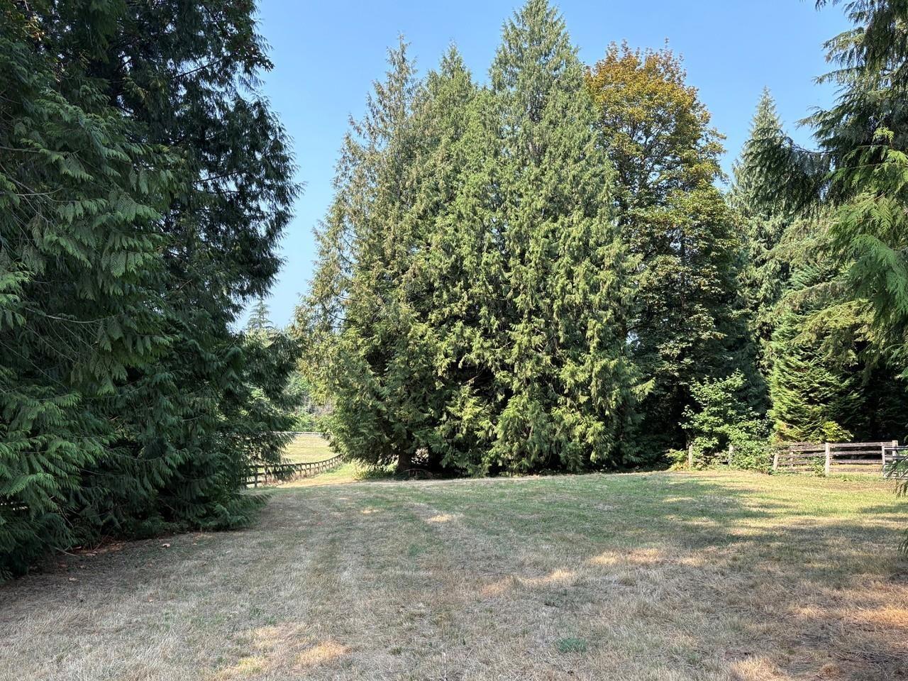 24538 40 Avenue, Langley, British Columbia  V2Z 2L9 - Photo 9 - R3156926