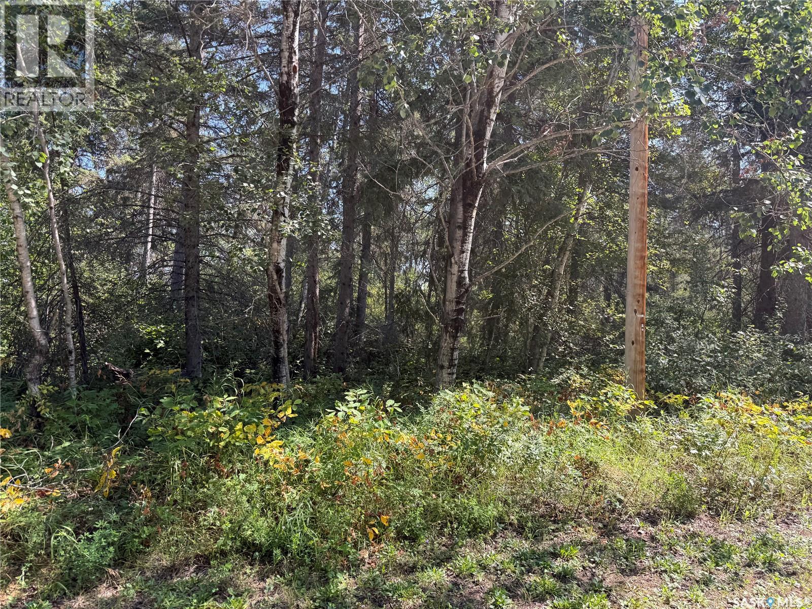 1.95 Acre Lot At Fur Lake, Fur Lakes, Saskatchewan  S0J 2G0 - Photo 10 - SK045966
