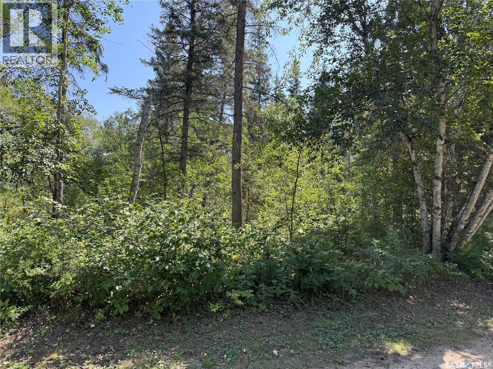 1.95 Acre Lot At Fur Lake, Fur Lakes, Saskatchewan  S0J 2G0 - Photo 9 - SK045966