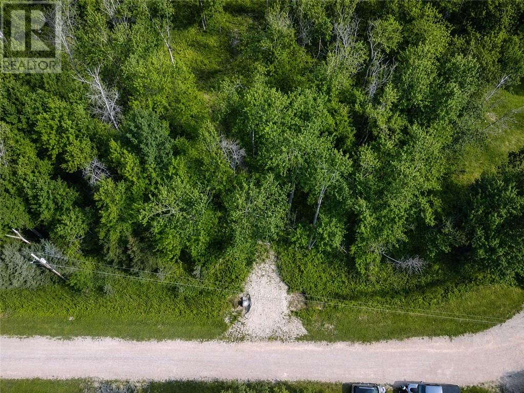 Lot 9 Fruchey Street, Kagawong, Ontario  P0P 1J0 - Photo 10 - 2127348
