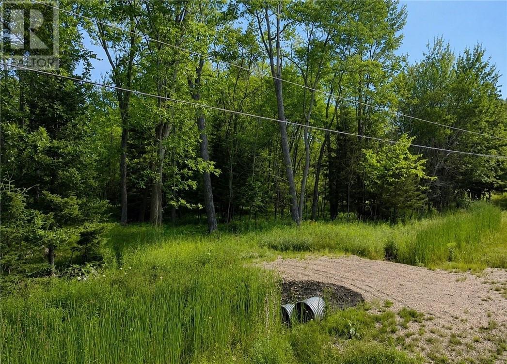 Lot 9 Fruchey Street, Kagawong, Ontario  P0P 1J0 - Photo 4 - 2127348