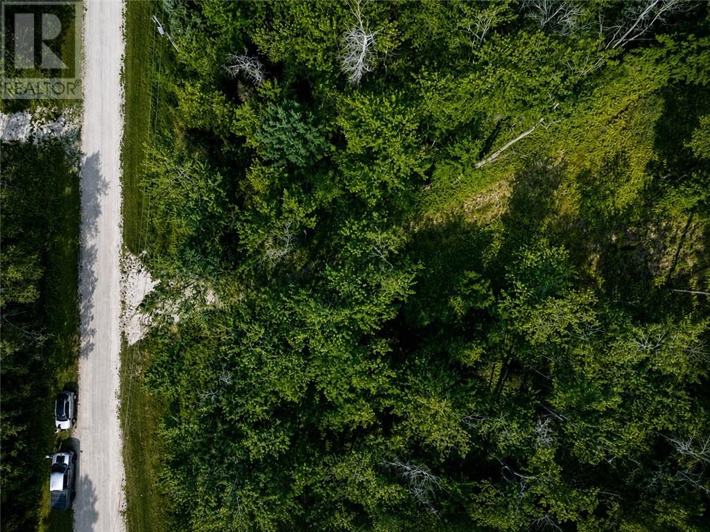 Lot 9 Fruchey Street, Kagawong, Ontario  P0P 1J0 - Photo 12 - 2127348