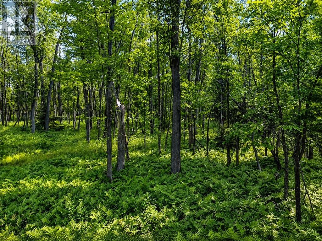 Lot 9 Fruchey Street, Kagawong, Ontario  P0P 1J0 - Photo 8 - 2127348