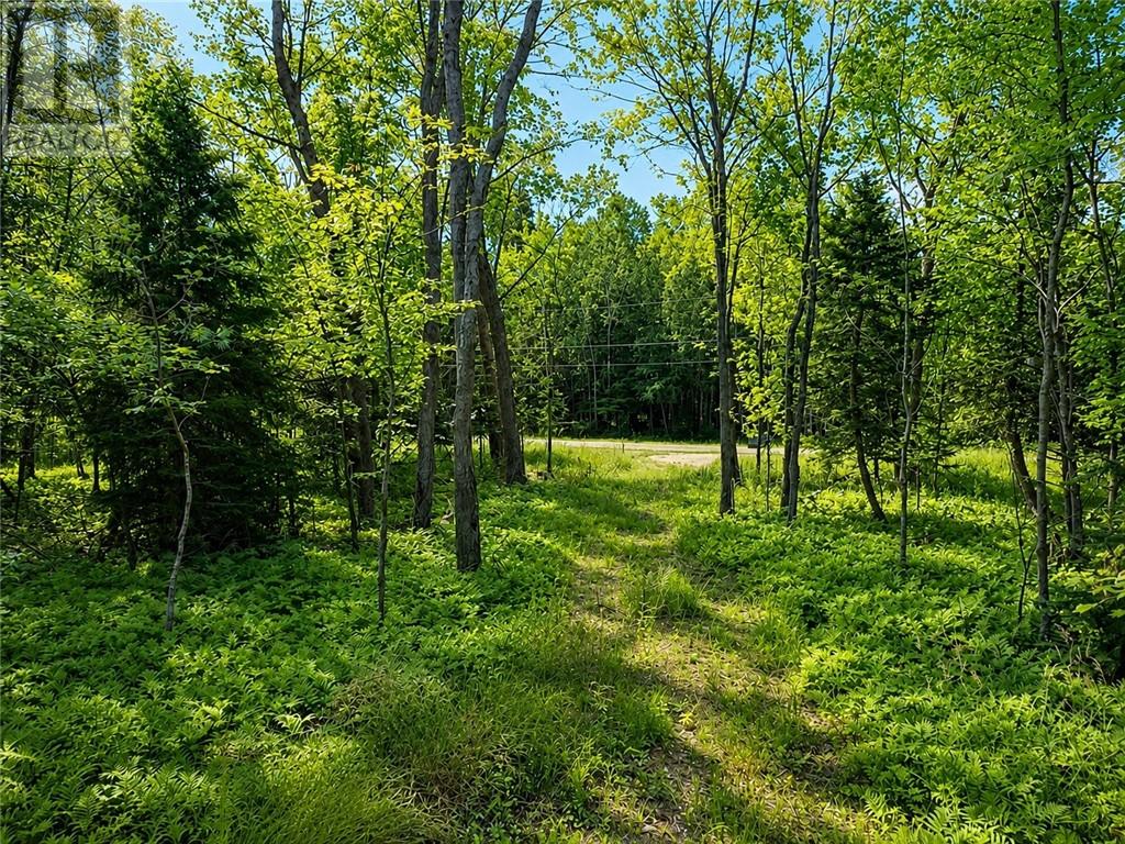 Lot 9 Fruchey Street, Kagawong, Ontario  P0P 1J0 - Photo 7 - 2127348