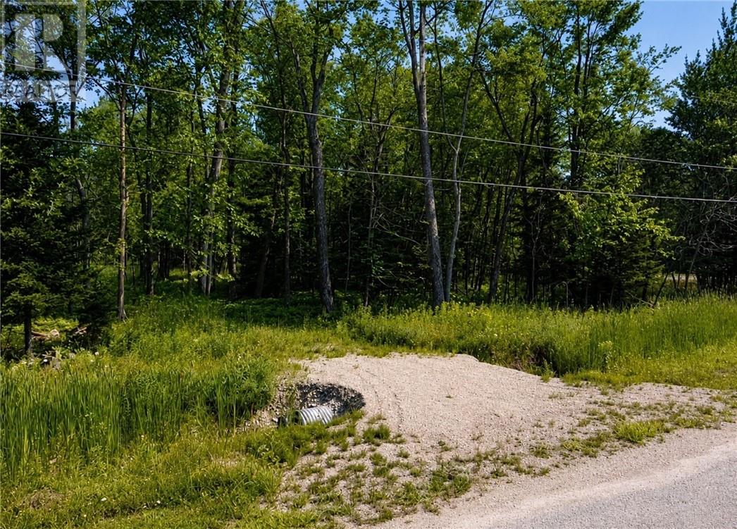 Lot 9 Fruchey Street, Kagawong, Ontario  P0P 1J0 - Photo 6 - 2127348