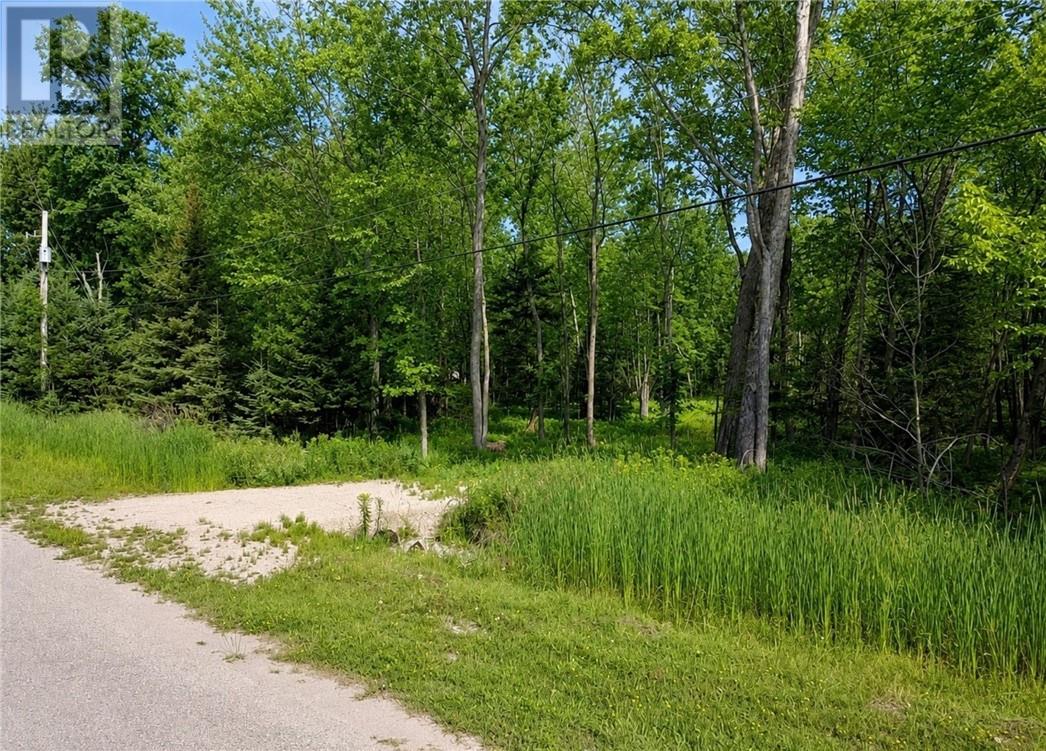 Lot 9 Fruchey Street, Kagawong, Ontario  P0P 1J0 - Photo 5 - 2127348
