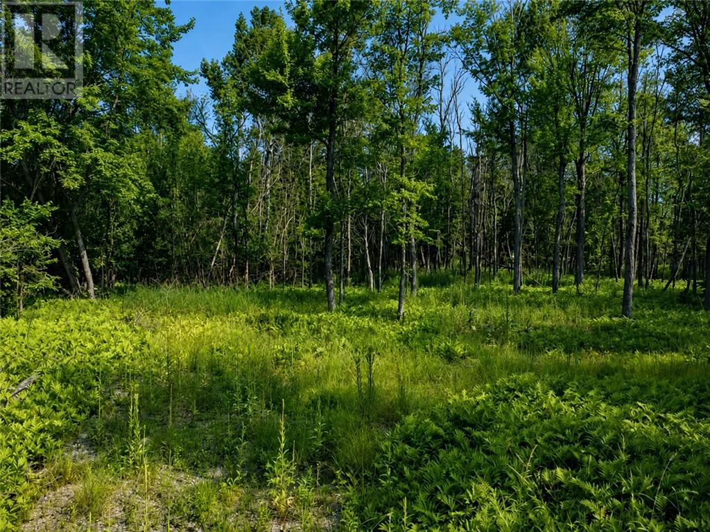 Lot 9 Fruchey Street, Kagawong, Ontario  P0P 1J0 - Photo 9 - 2127348