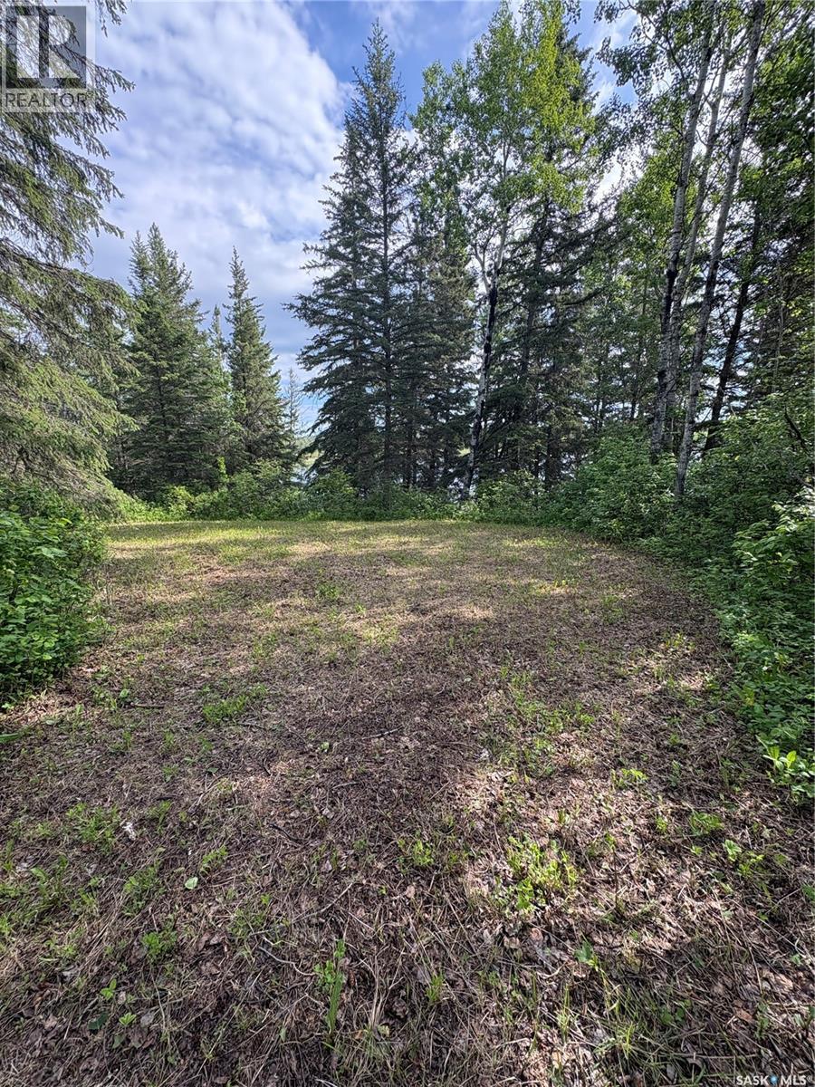 Schutte Lake Acreage, Hazel Dell Rm No. 335, Saskatchewan  S0A 0W0 - Photo 14 - SK039711