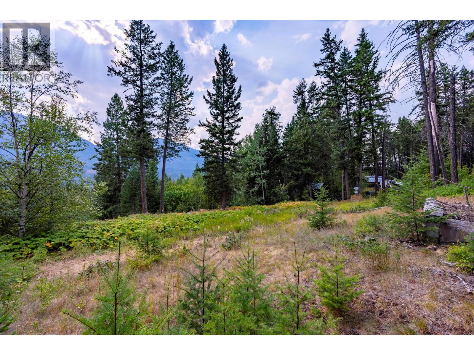 1396 Campbell Road, Golden, British Columbia  V0A 1H7 - Photo 55 - 10398160