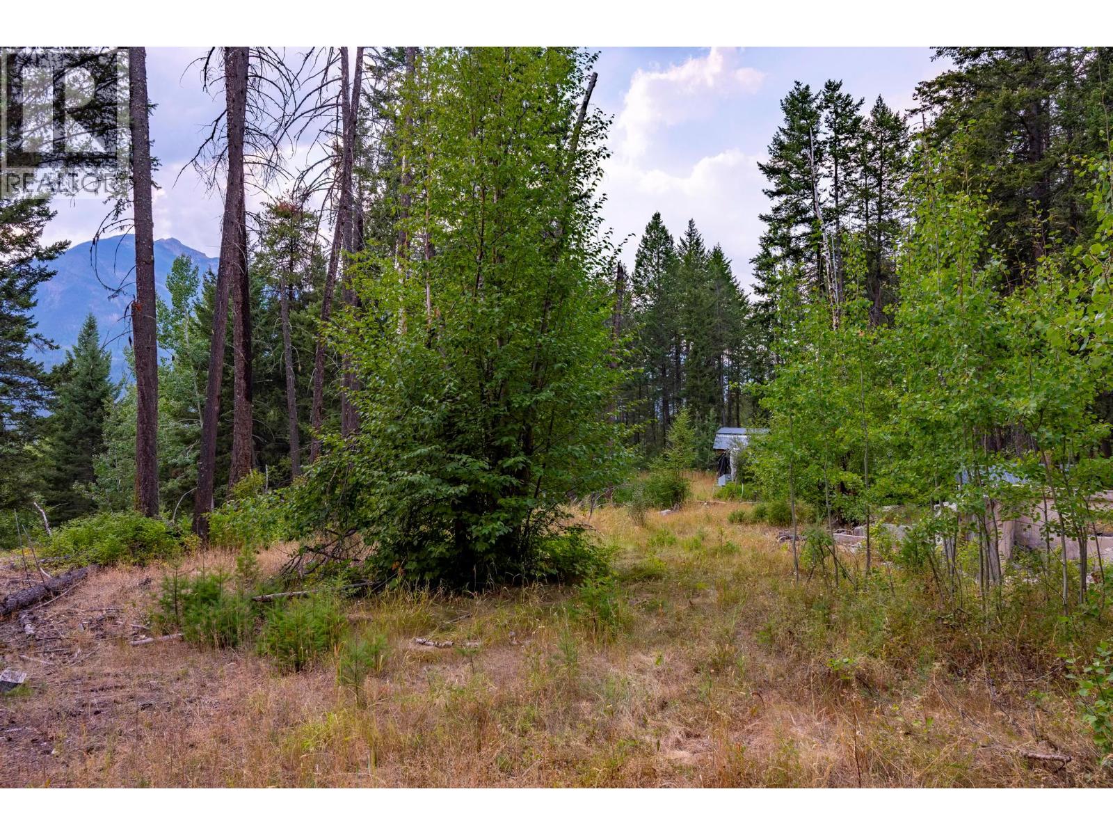 1396 Campbell Road, Golden, British Columbia  V0A 1H7 - Photo 29 - 10398160