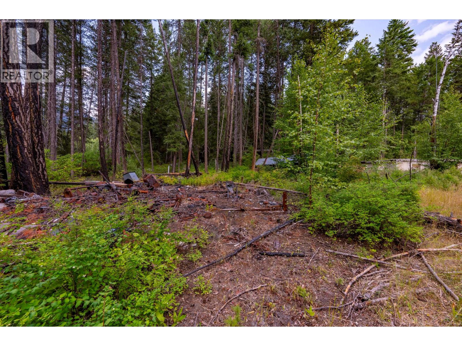 1396 Campbell Road, Golden, British Columbia  V0A 1H7 - Photo 42 - 10398160