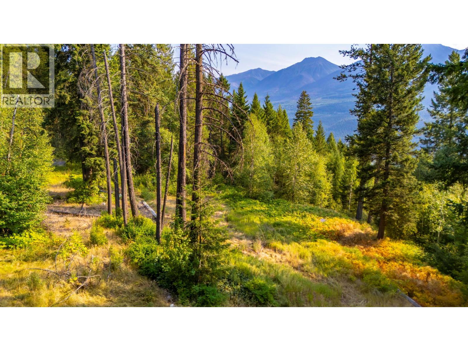 1396 Campbell Road, Golden, British Columbia  V0A 1H7 - Photo 17 - 10398160