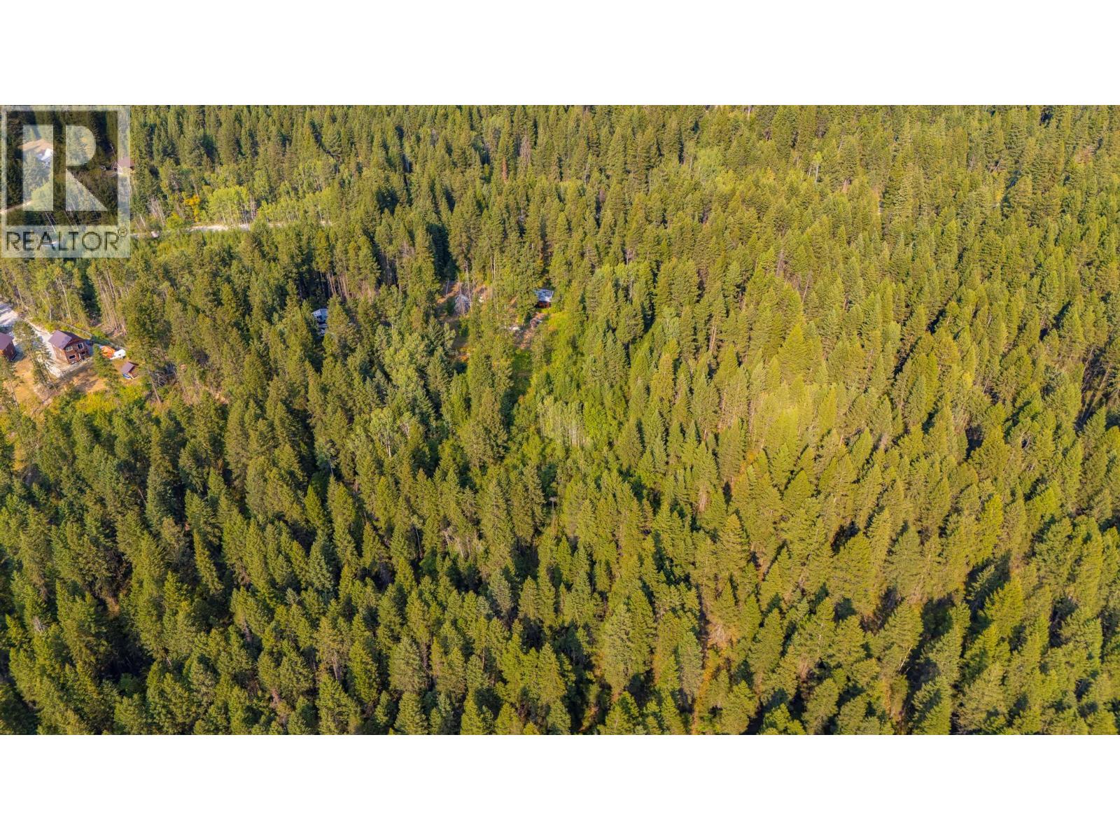 1396 Campbell Road, Golden, British Columbia  V0A 1H7 - Photo 10 - 10398160