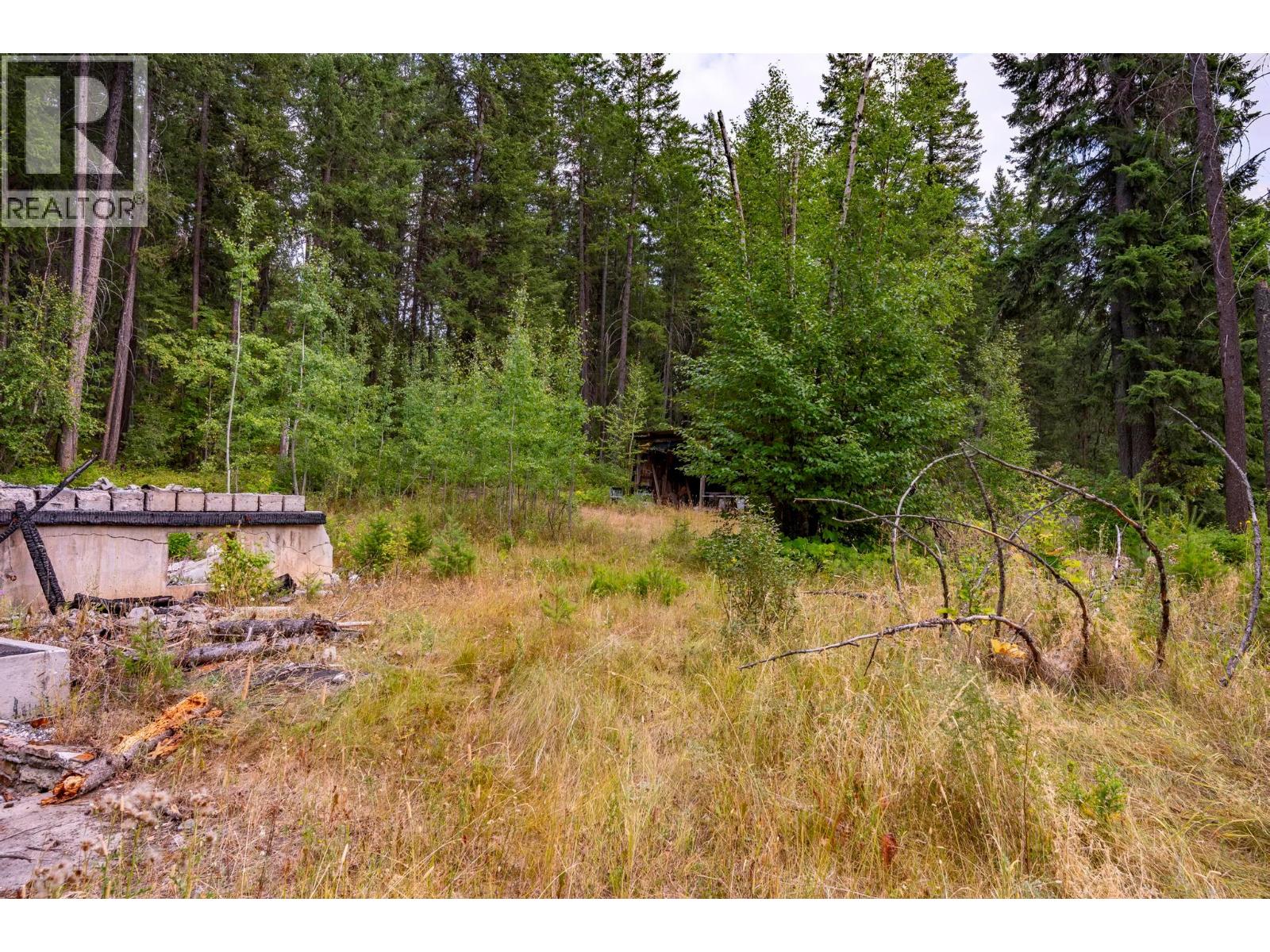 1396 Campbell Road, Golden, British Columbia  V0A 1H7 - Photo 39 - 10398160