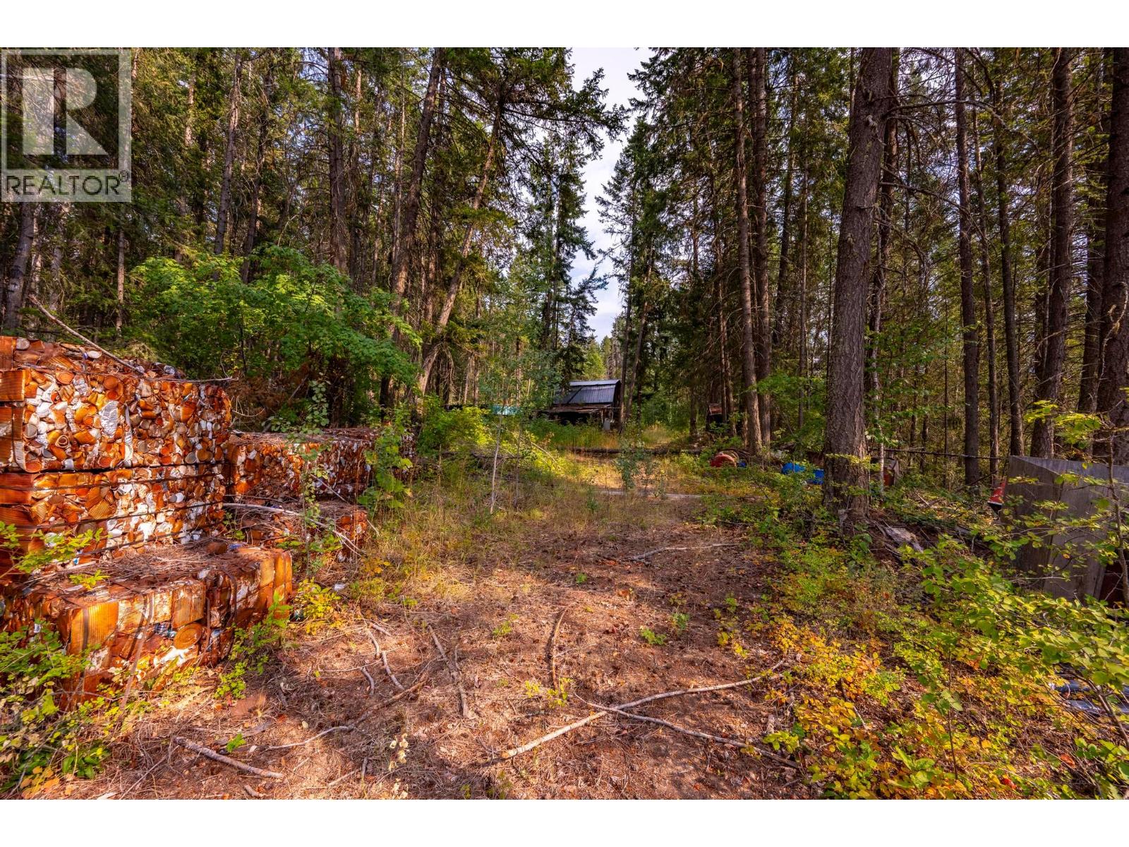 1396 Campbell Road, Golden, British Columbia  V0A 1H7 - Photo 49 - 10398160