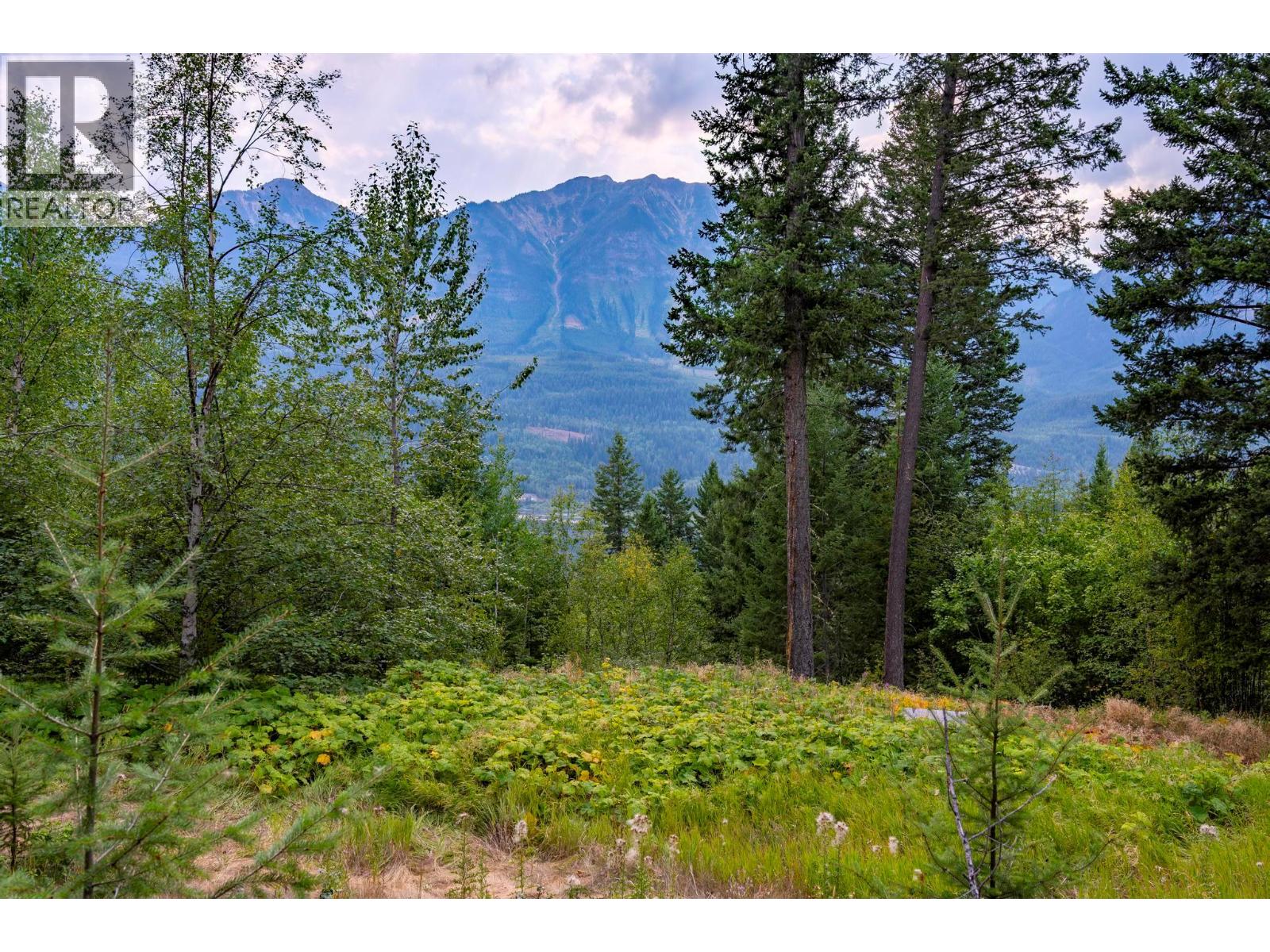 1396 Campbell Road, Golden, British Columbia  V0A 1H7 - Photo 32 - 10398160