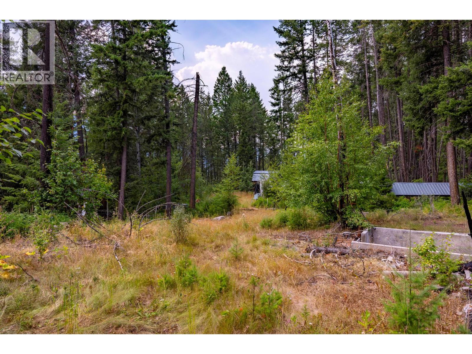 1396 Campbell Road, Golden, British Columbia  V0A 1H7 - Photo 36 - 10398160