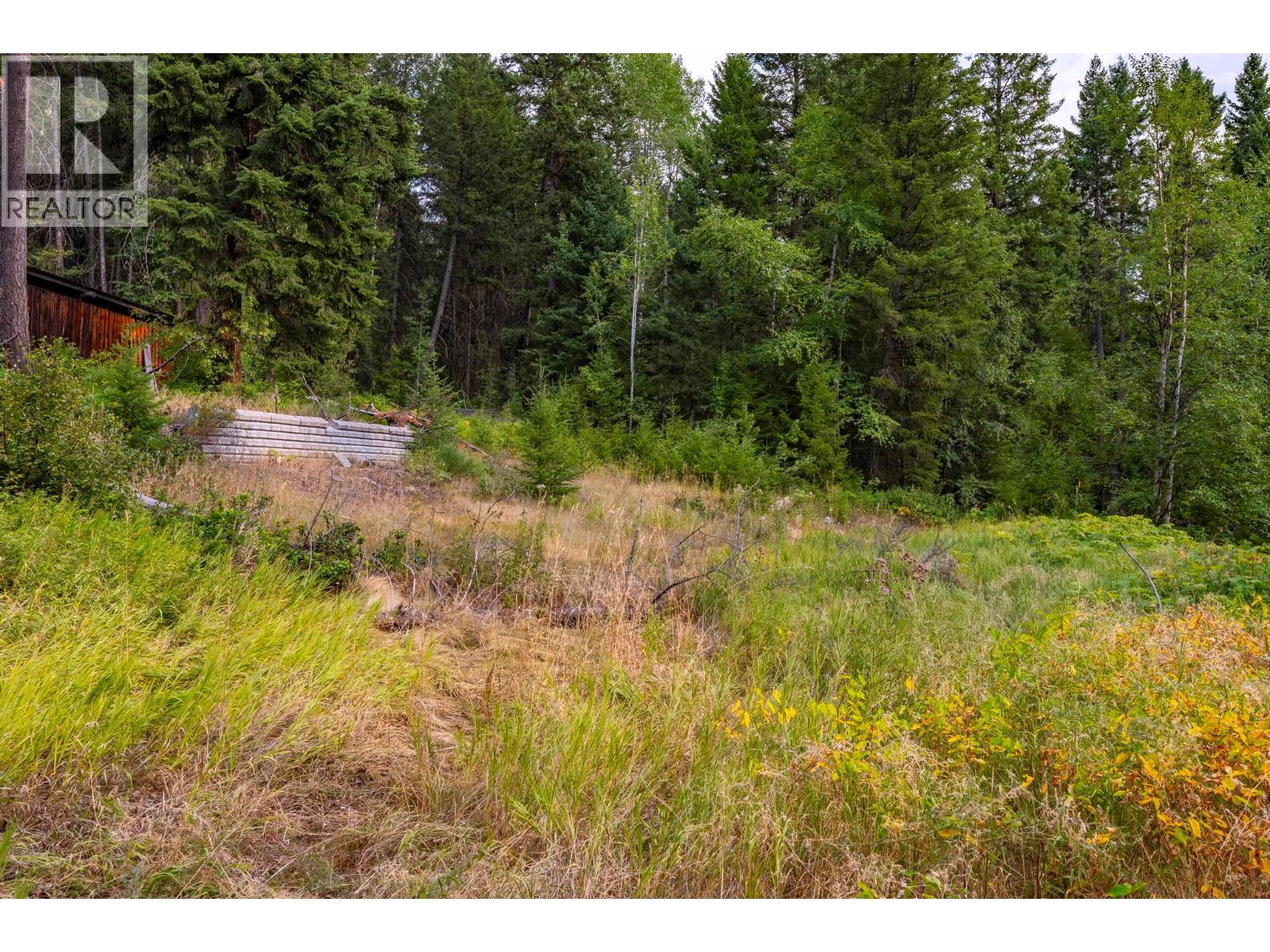 1396 Campbell Road, Golden, British Columbia  V0A 1H7 - Photo 53 - 10398160