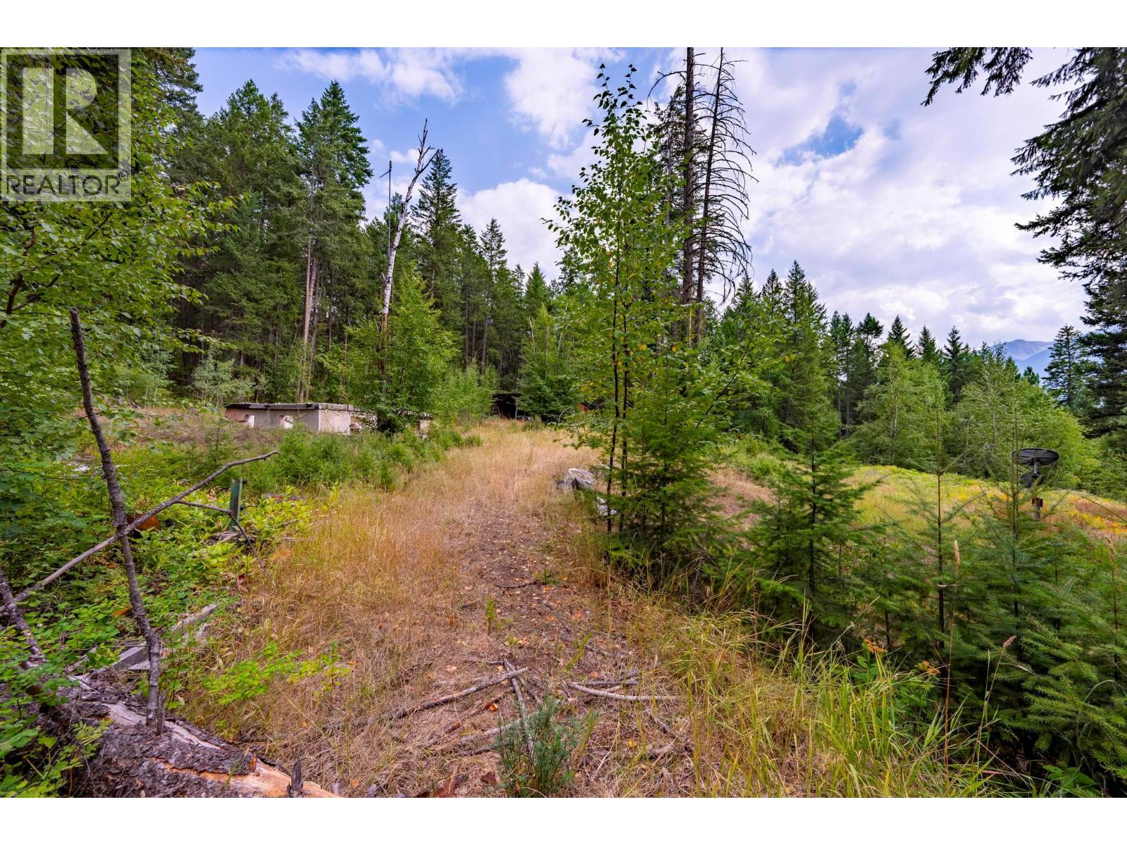 1396 Campbell Road, Golden, British Columbia  V0A 1H7 - Photo 41 - 10398160