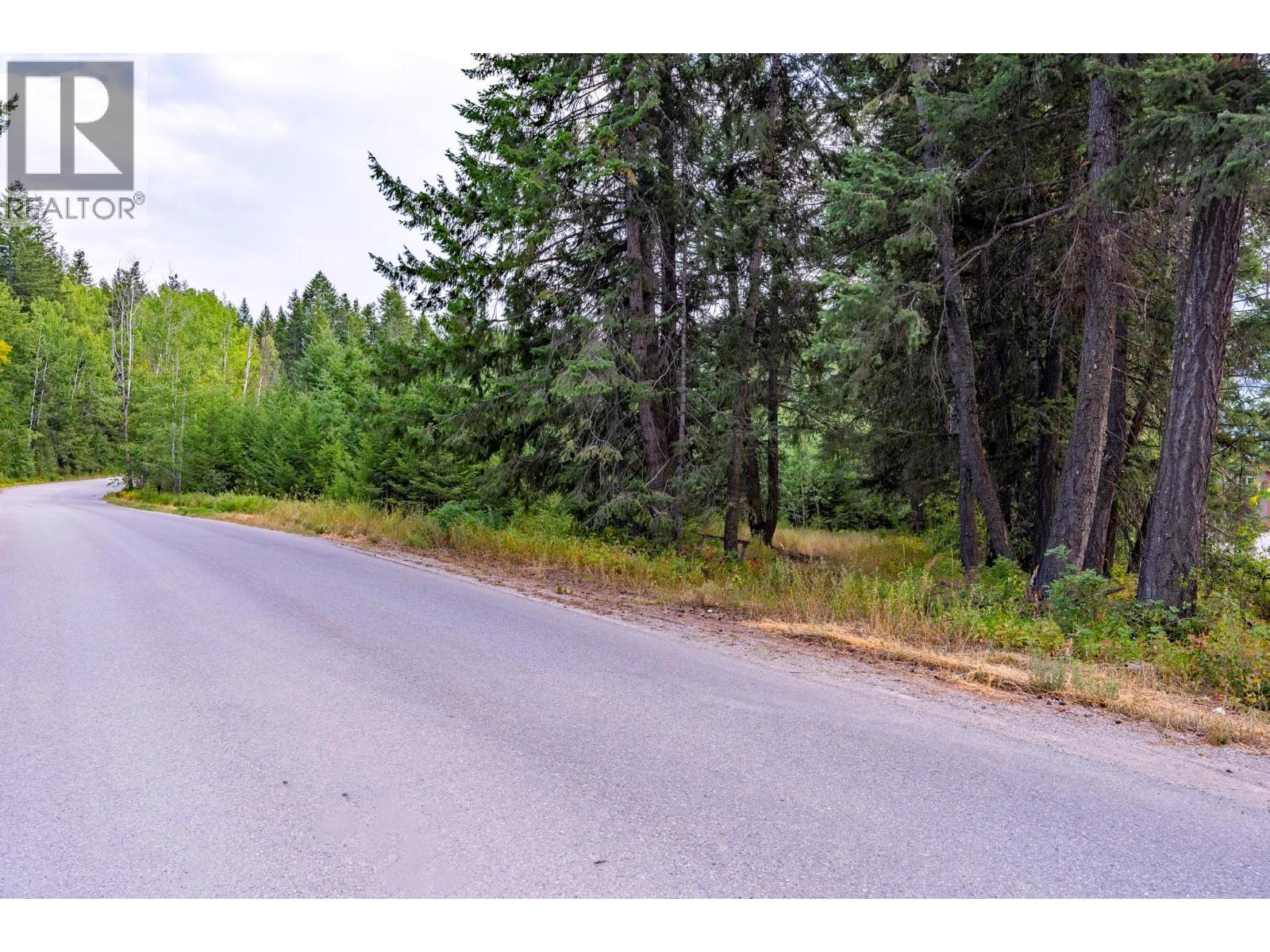1396 Campbell Road, Golden, British Columbia  V0A 1H7 - Photo 62 - 10398160