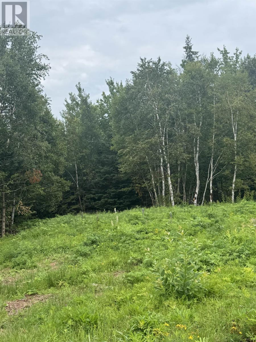 Lot Commercial Road, Lower Montague, Prince Edward Island  C0A 1R0 - Photo 8 - 202620909