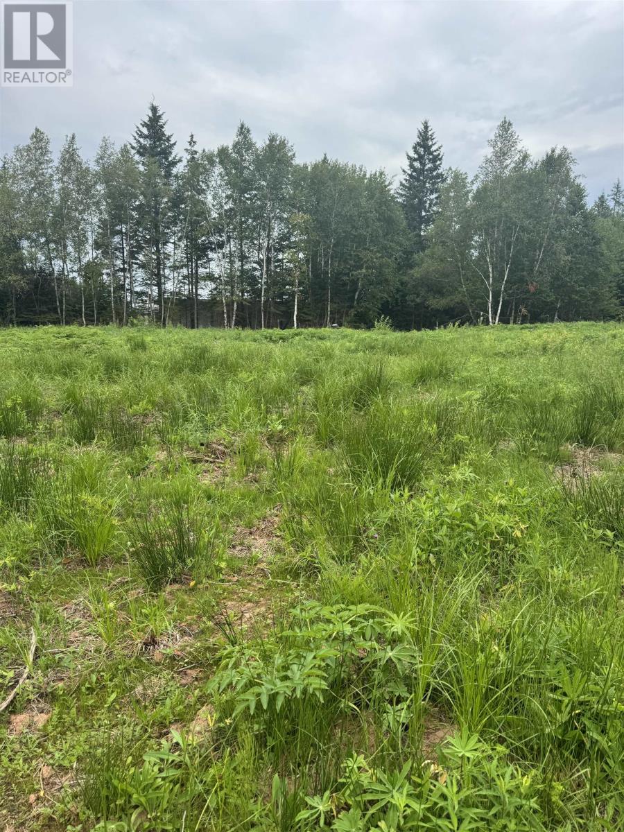 Lot Commercial Road, Lower Montague, Prince Edward Island  C0A 1R0 - Photo 4 - 202620909