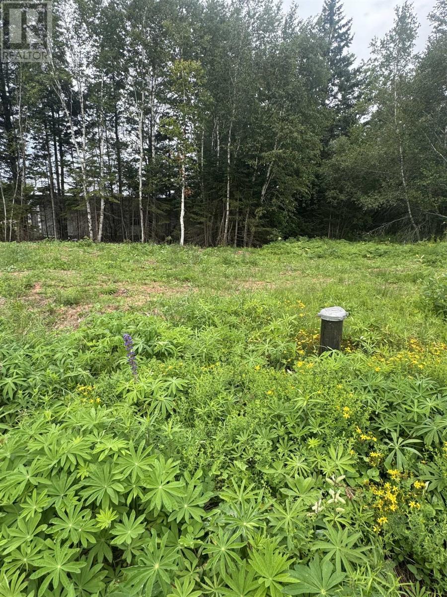Lot Commercial Road, Lower Montague, Prince Edward Island  C0A 1R0 - Photo 6 - 202620909
