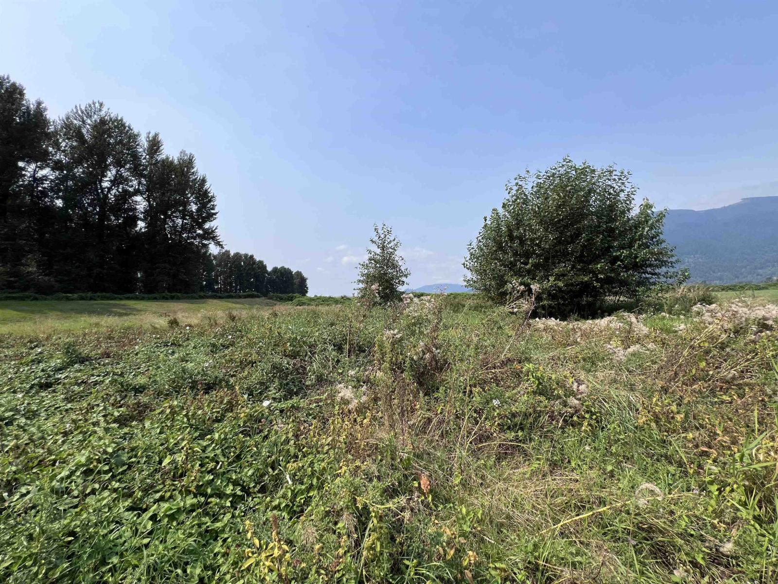 8309 Thompson Road, Mission, British Columbia  V0M 1G0 - Photo 11 - R3155700