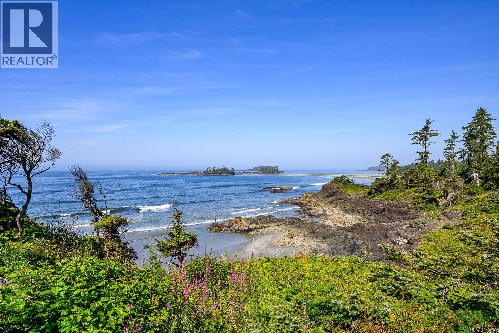 885 Moser Pl, Tofino, British Columbia V0R 2Z0 - Photo 10 - 1043879
