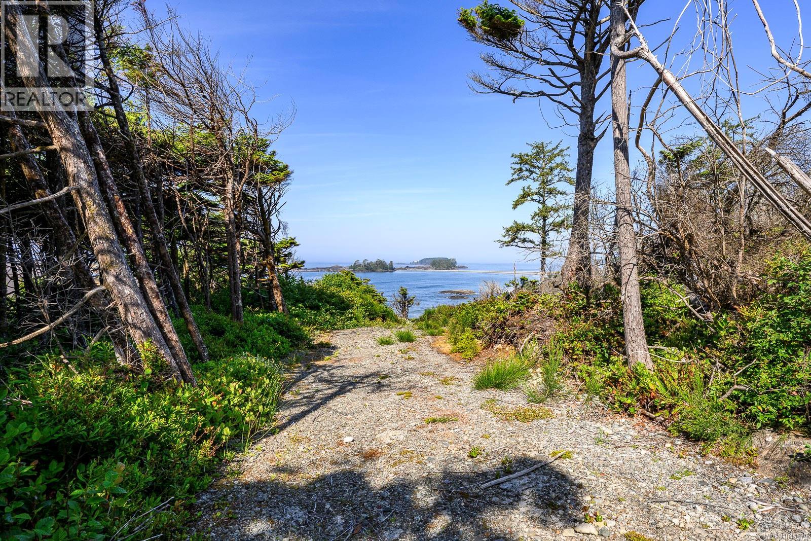 885 Moser Pl, Tofino, British Columbia V0R 2Z0 - Photo 8 - 1043879