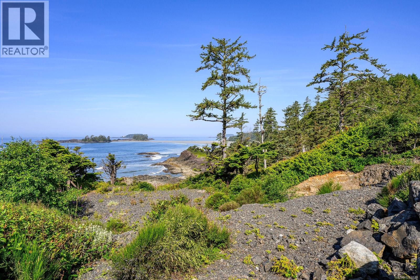 885 Moser Pl, Tofino, British Columbia V0R 2Z0 - Photo 9 - 1043879