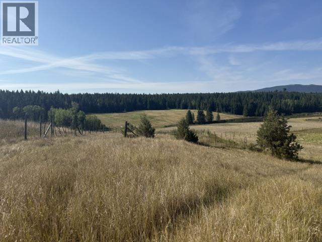 1095 Isnardy Road, Williams Lake, British Columbia  V2G 4W9 - Photo 9 - R3157013