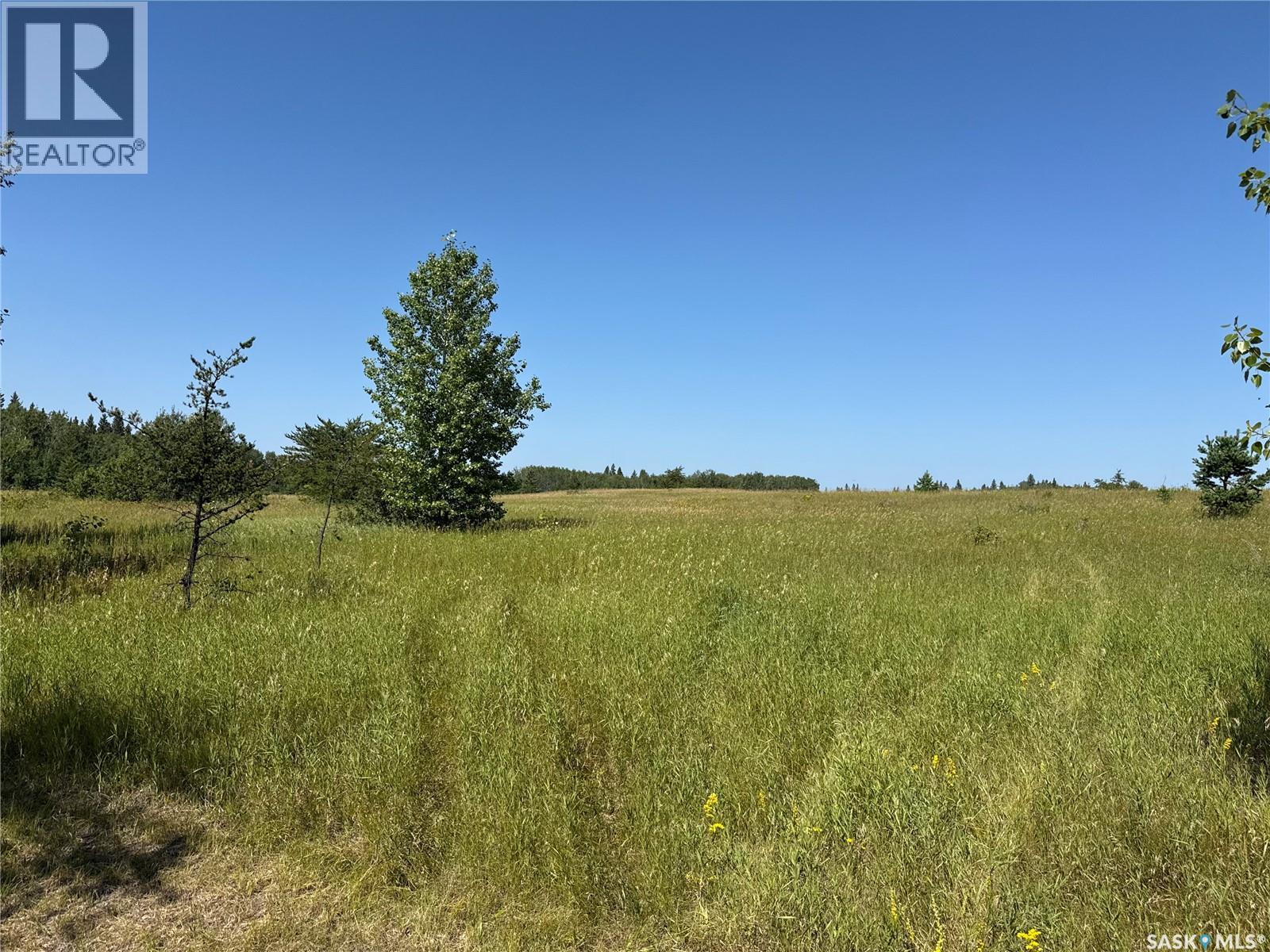 12 Acre Lot At Fur Lake (Lsd3), Fur Lakes, Saskatchewan  S0J 2G0 - Photo 22 - SK045967