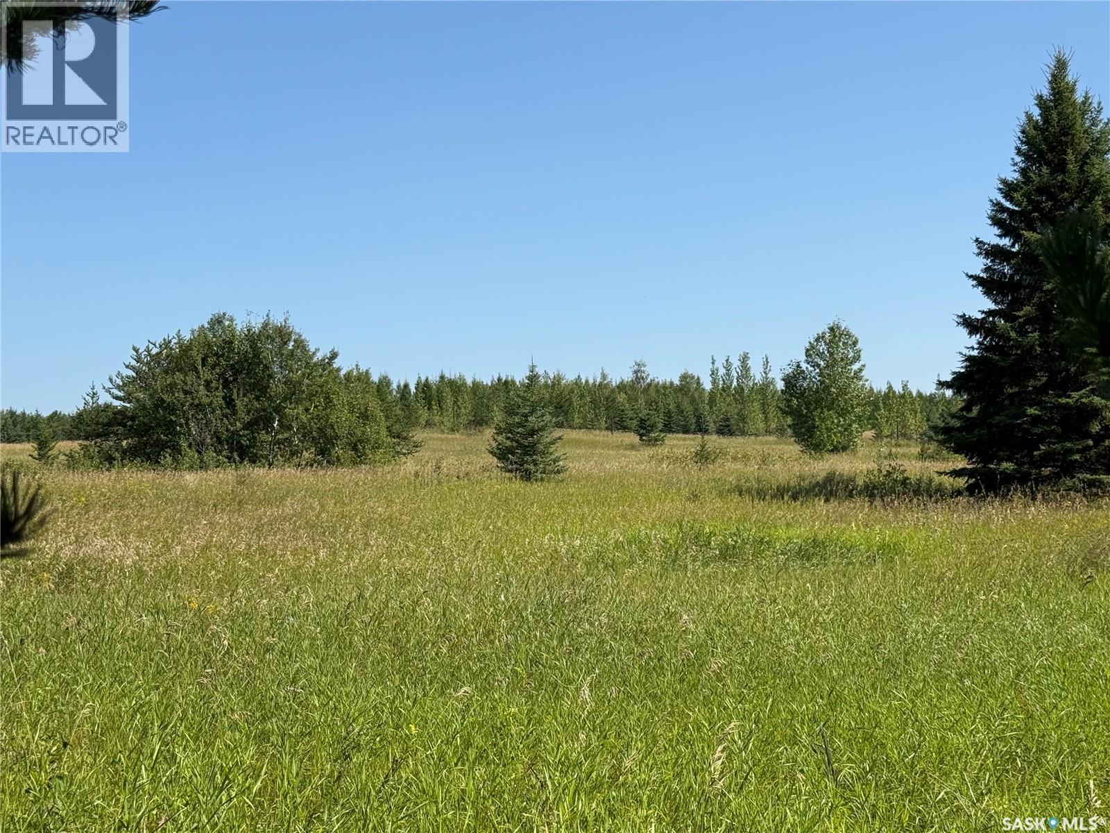 12 Acre Lot At Fur Lake (Lsd3), Fur Lakes, Saskatchewan  S0J 2G0 - Photo 14 - SK045967