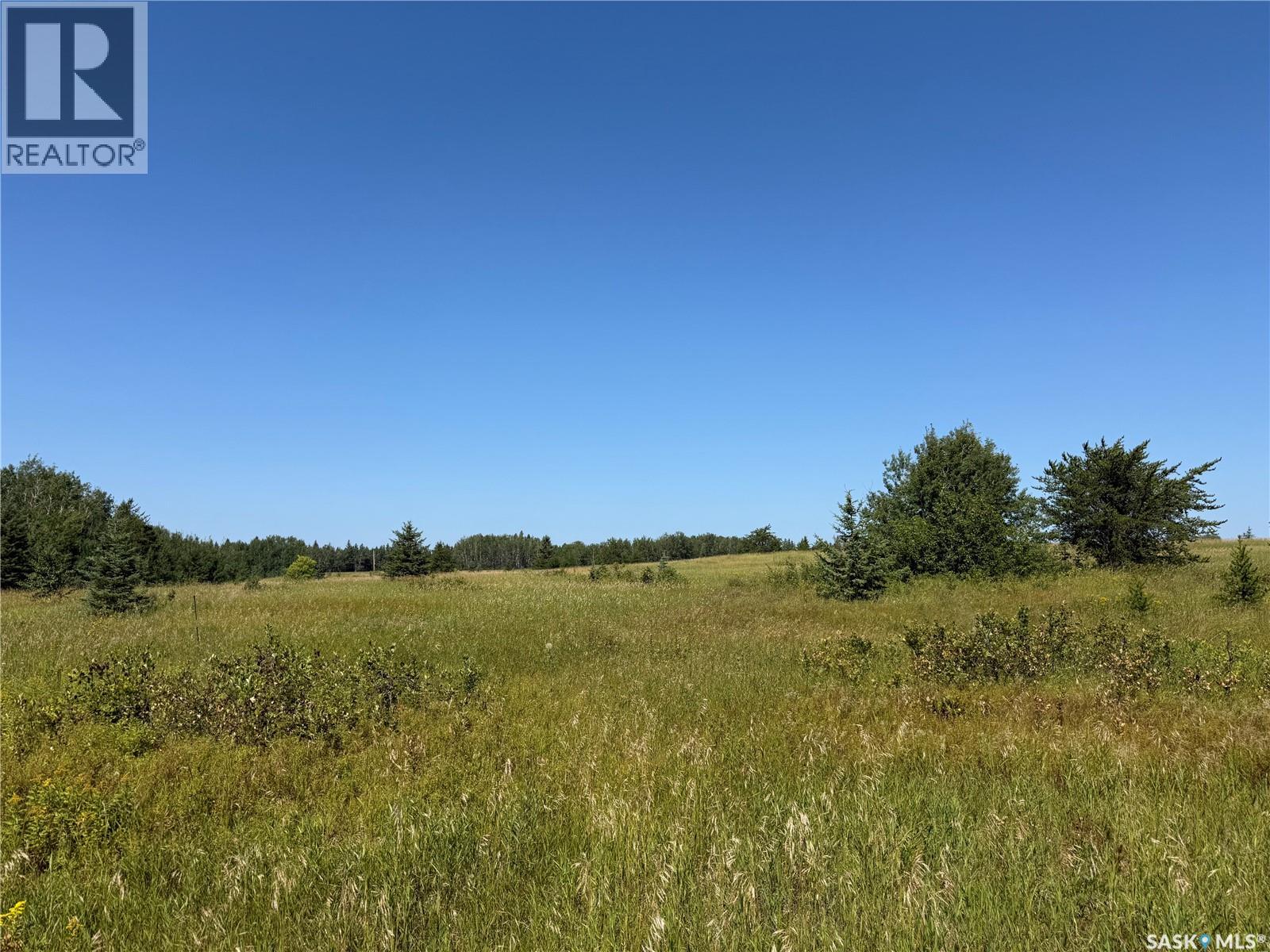 12 Acre Lot At Fur Lake (Lsd3), Fur Lakes, Saskatchewan  S0J 2G0 - Photo 18 - SK045967