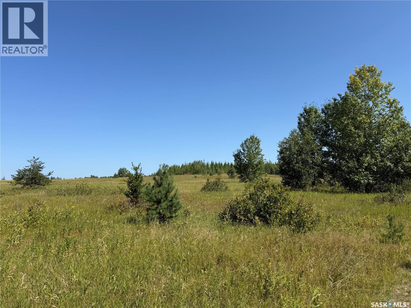12 Acre Lot At Fur Lake (Lsd3), Fur Lakes, Saskatchewan  S0J 2G0 - Photo 17 - SK045967