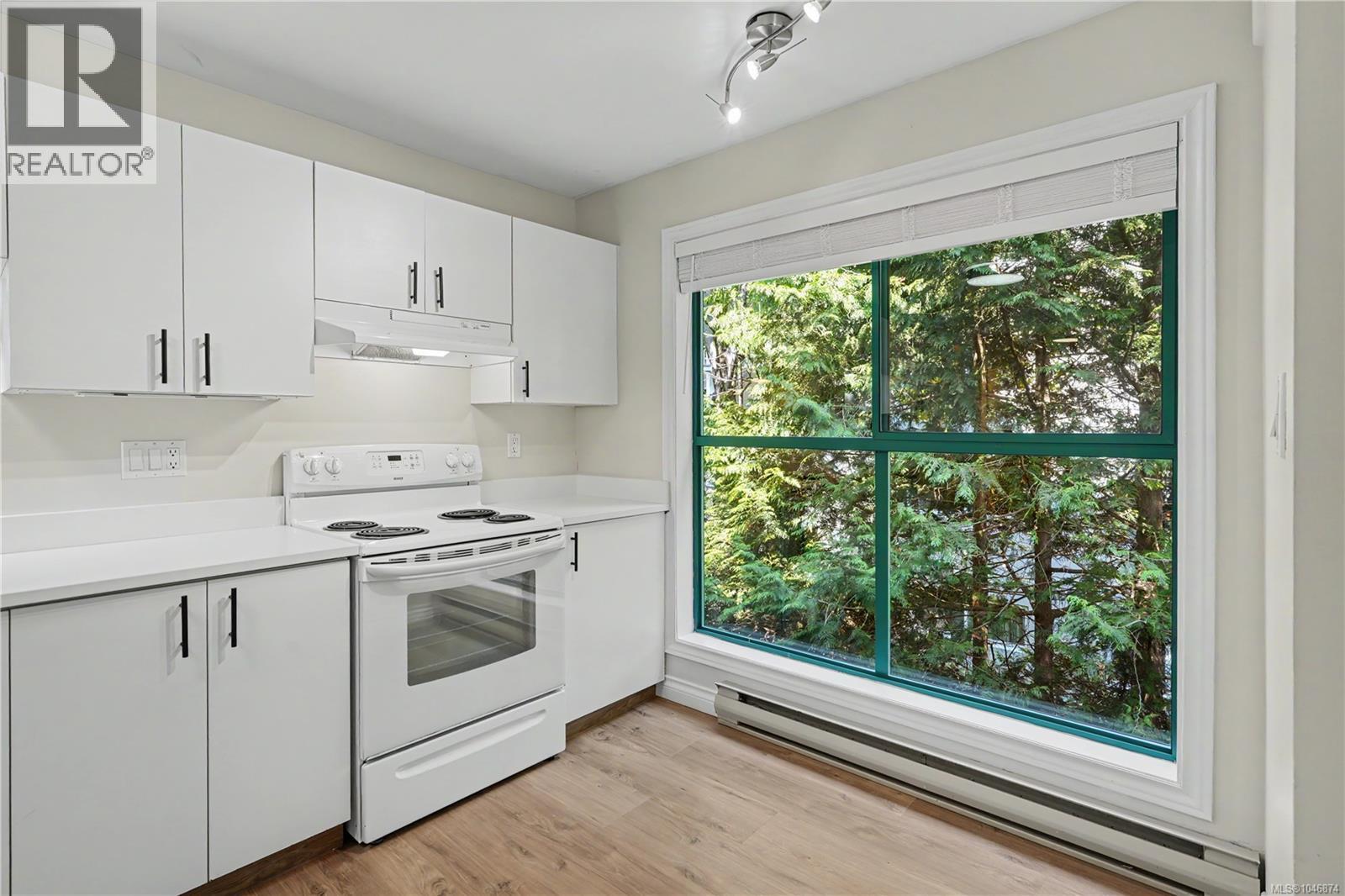 303 1190 View St, Victoria, British Columbia  V8V 5J2 - Photo 7 - 1046874