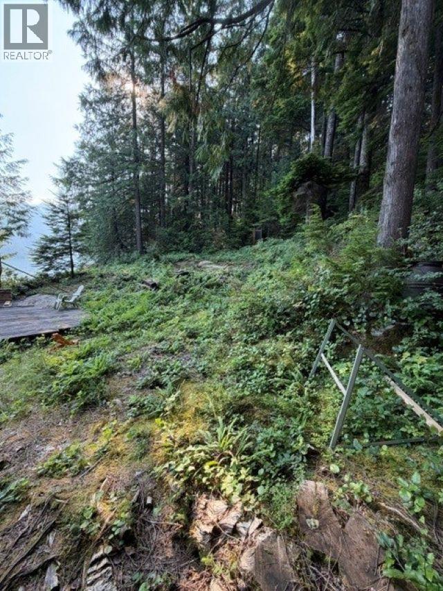 4 South Of Debeck Creek, Pitt Meadows, British Columbia  V0V 0V0 - Photo 23 - R3156363