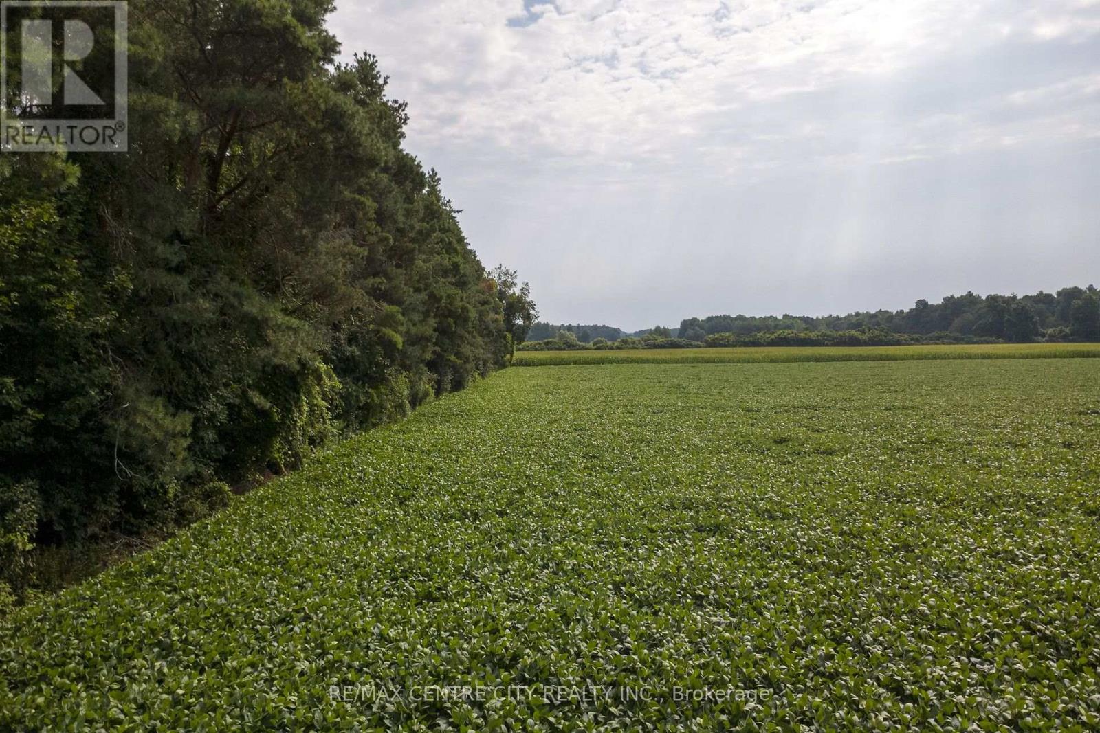 Lot 14 Concession 7, Norfolk, Ontario  N0E 1Y0 - Photo 10 - X13689672