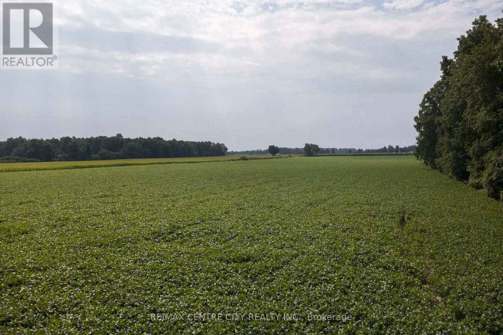 Lot 14 Concession 7, Norfolk, Ontario  N0E 1Y0 - Photo 9 - X13689672
