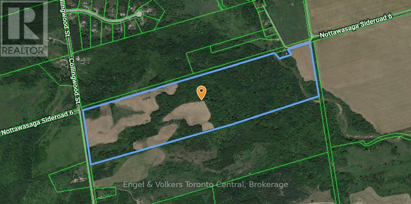 3237 Collingwood Street, Clearview, Ontario  L0M 1G0 - Photo 3 - S13689746