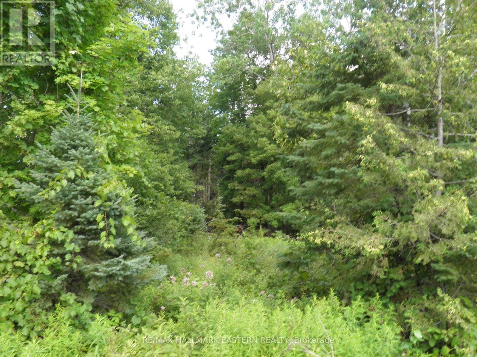 318 & 321 Caves Road, Douro-Dummer, Ontario  K0L 3A0 - Photo 26 - X13689232