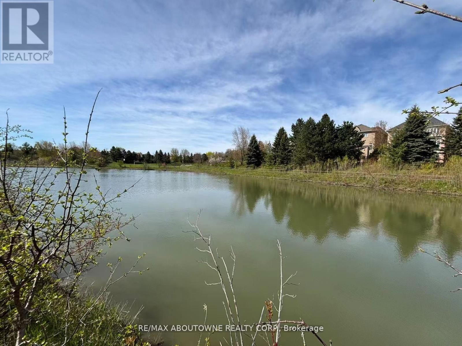 16 Gracedale Drive, Richmond Hill, Ontario  L4C 0Y3 - Photo 47 - N13689838