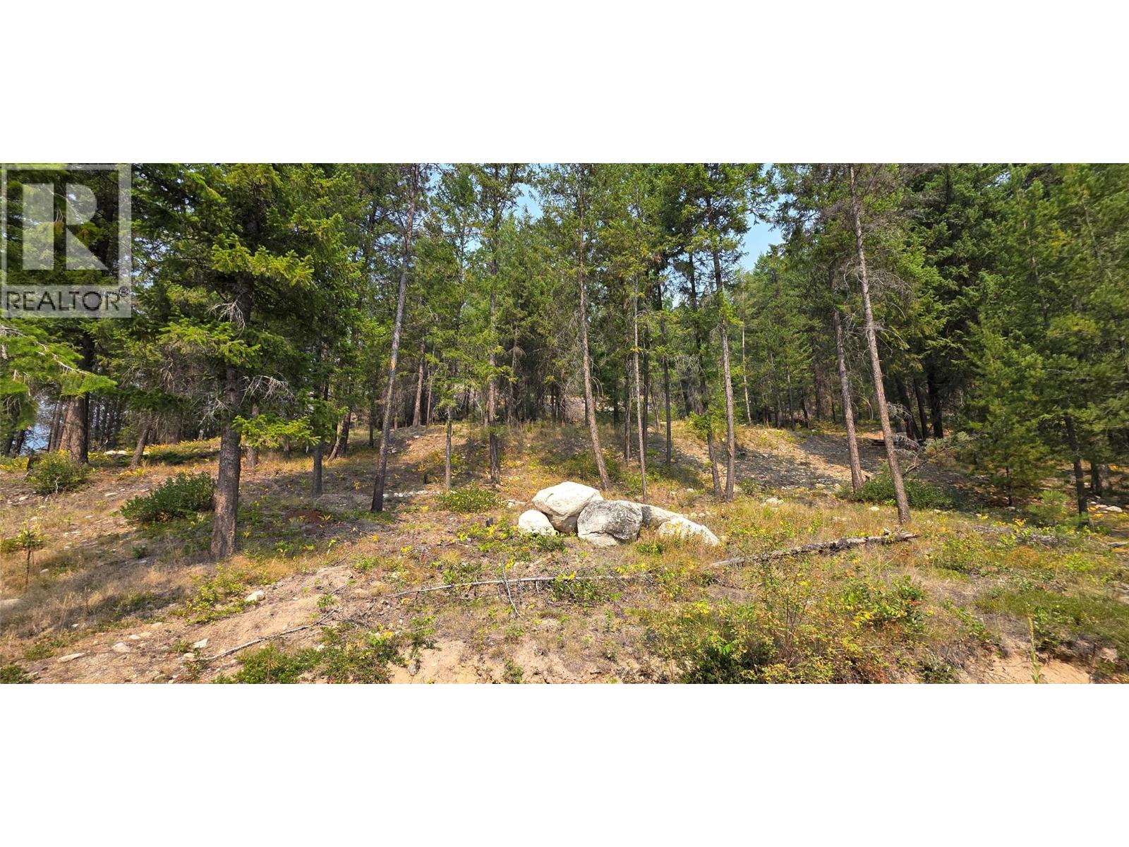 4820 Highway 33, Beaverdell, British Columbia  V0H 1A0 - Photo 65 - 10398038