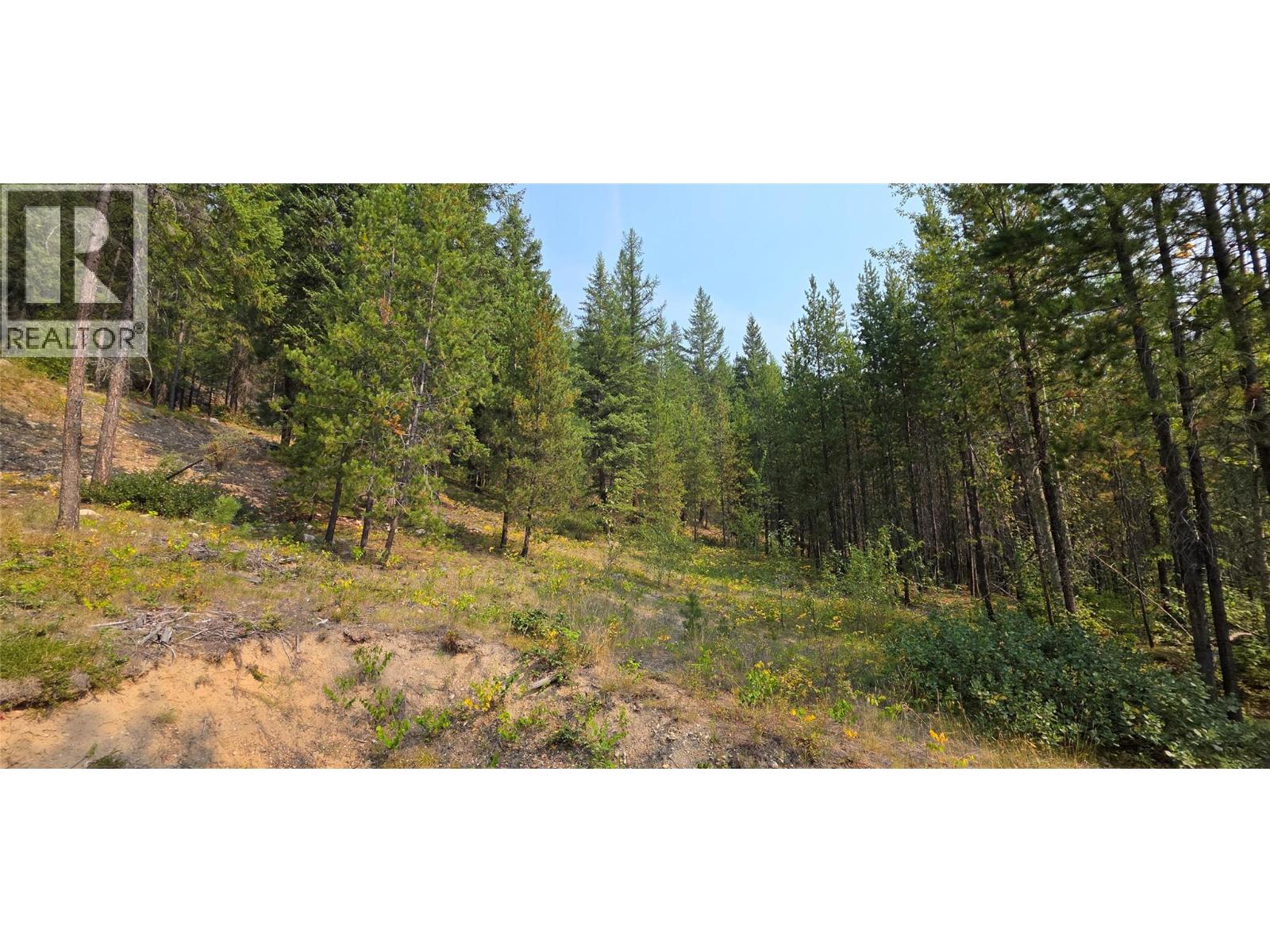 4820 Highway 33, Beaverdell, British Columbia  V0H 1A0 - Photo 66 - 10398038