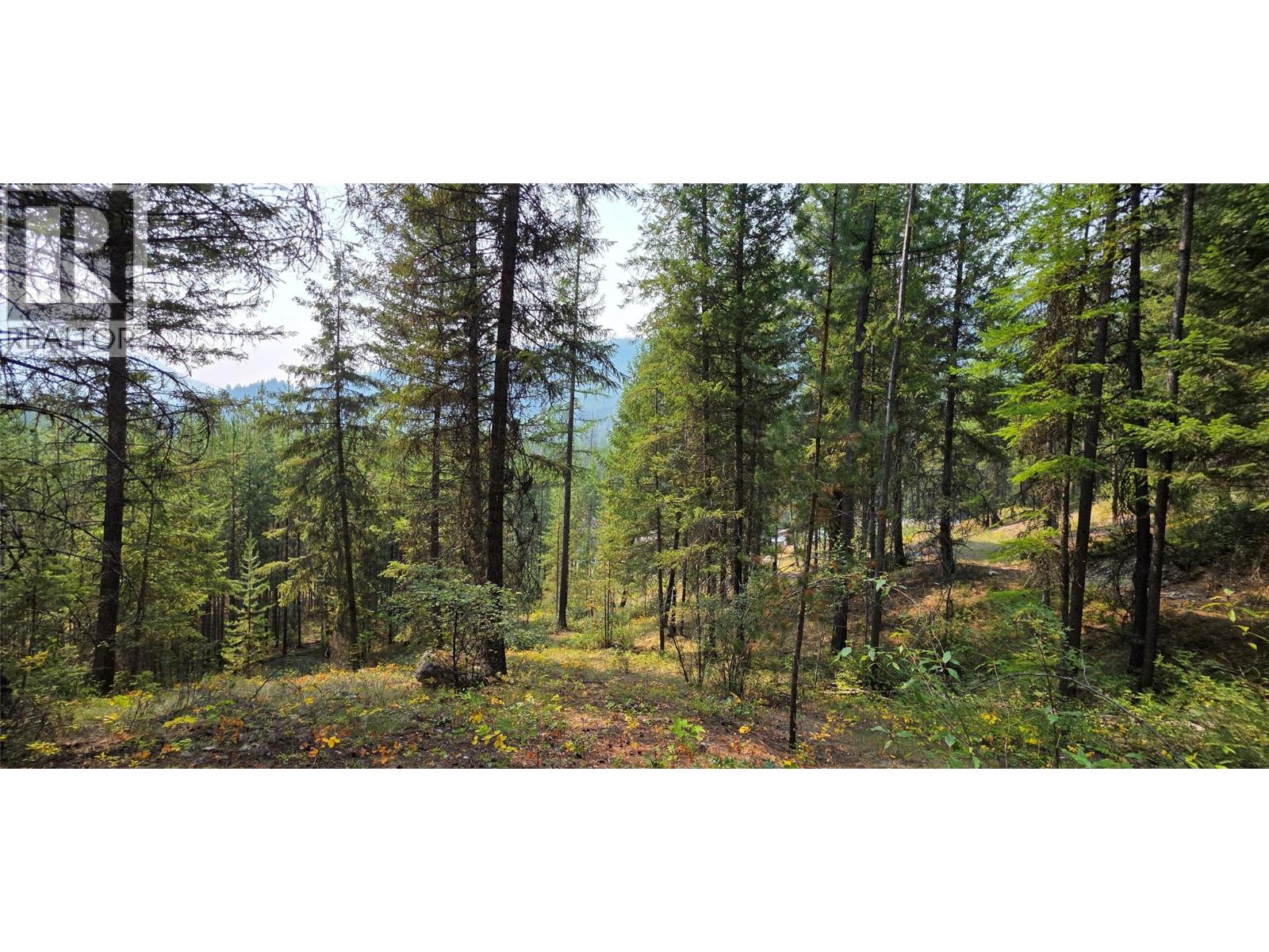 4820 Highway 33, Beaverdell, British Columbia  V0H 1A0 - Photo 68 - 10398038