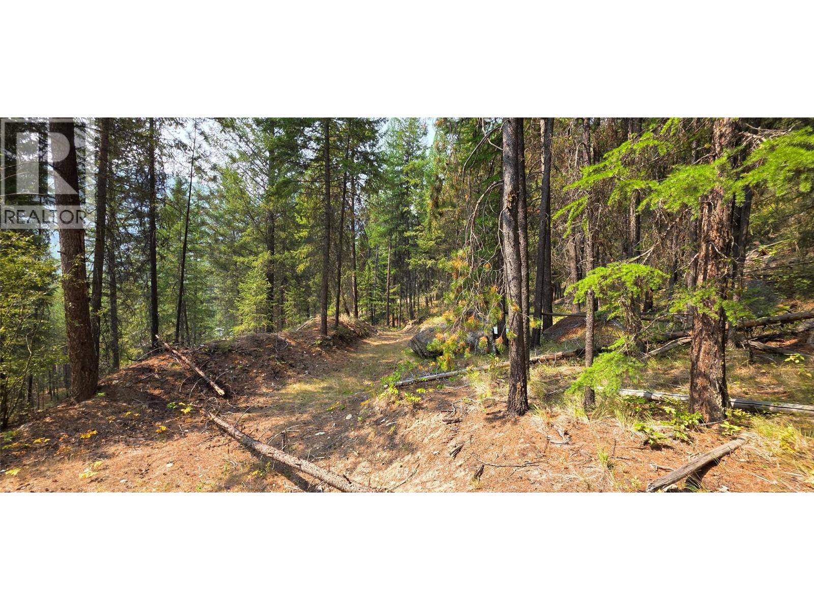 4820 Highway 33, Beaverdell, British Columbia  V0H 1A0 - Photo 69 - 10398038