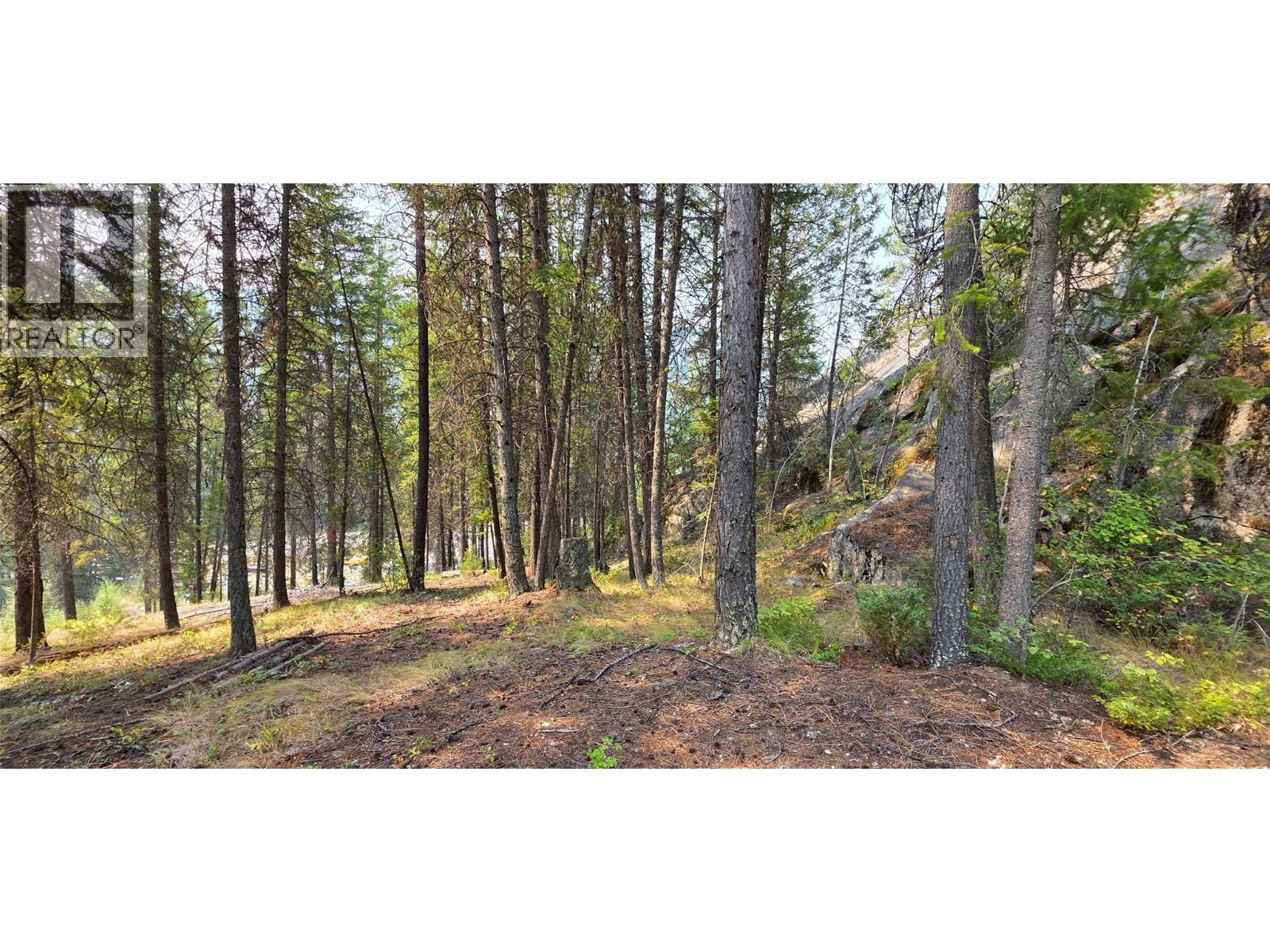 4820 Highway 33, Beaverdell, British Columbia  V0H 1A0 - Photo 80 - 10398038