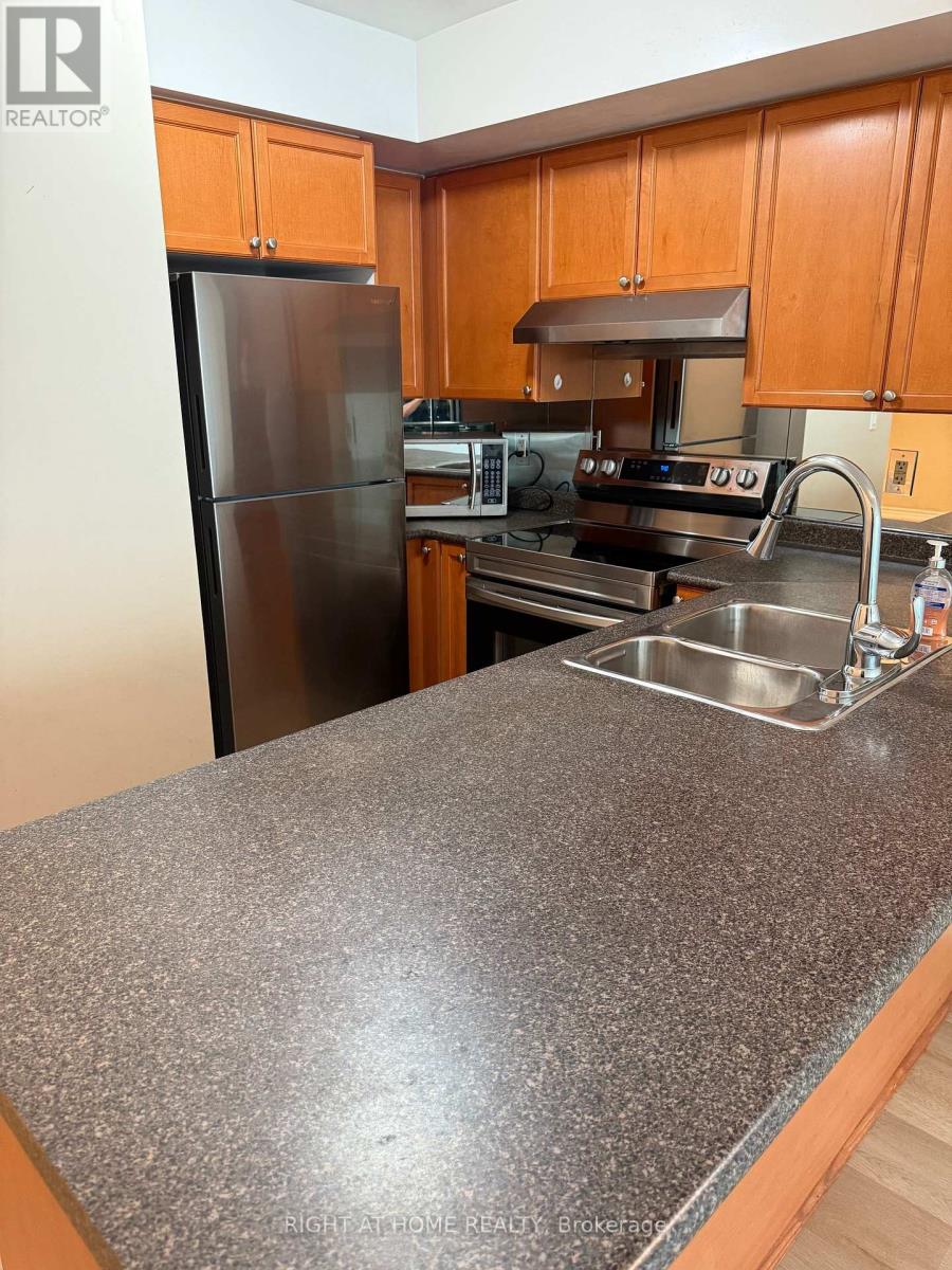 1212 - 1 Elm Drive, Mississauga, Ontario  L5B 4M1 - Photo 13 - W13689820